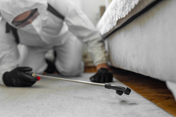 Professional Termite Control technician working in Moosic, PA
