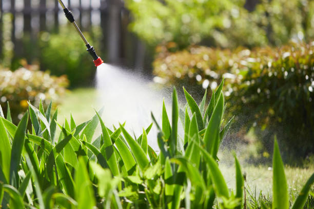 24/7 Emergency Termite Control experts in Moosic, PA