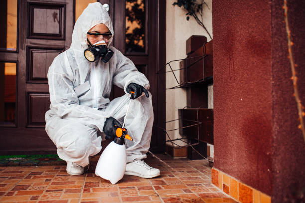 Reliable Termite Control contractor in Moosic, PA by Nex Pest Control